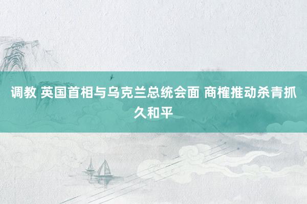 调教 英国首相与乌克兰总统会面 商榷推动杀青抓久和平