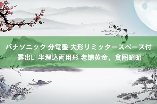 パナソニック 分電盤 大形リミッタースペース付 露出・半埋込両用形 老铺黄金，贪图昭昭
