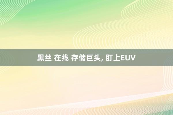 黑丝 在线 存储巨头, 盯上EUV