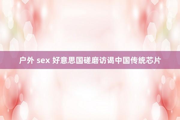 户外 sex 好意思国磋磨访谒中国传统芯片