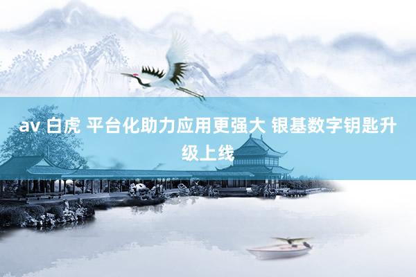 av 白虎 平台化助力应用更强大 银基数字钥匙升级上线