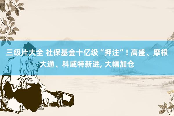 三级片大全 社保基金十亿级“押注”! 高盛、摩根大通、科威特新进， 大幅加仓